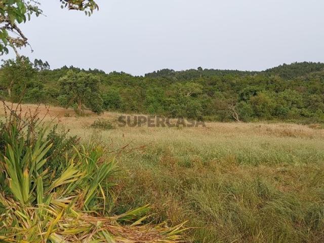 Herdade com 73 ha em Relíquias, Odemira Montado, Ruína e Grande Potencial