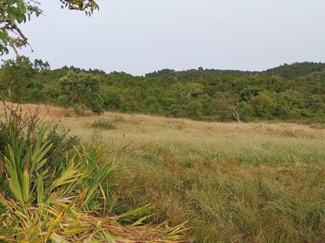 Herdade com 73 ha em Relíquias, Odemira Montado, Ruína e Grande Potencial