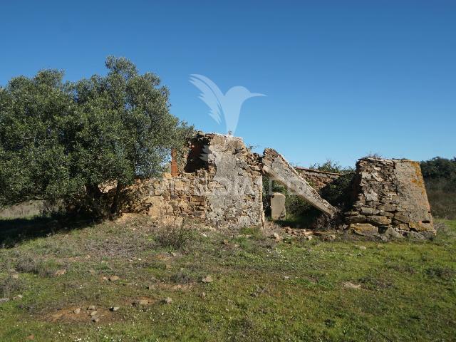 Herdade com 71 hectares e ruína de 174m2