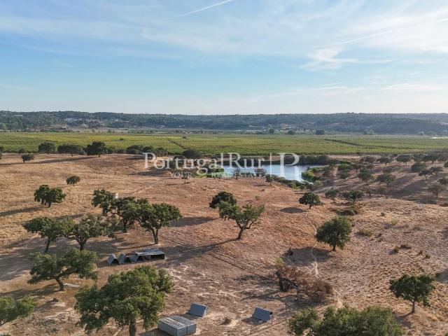 Herdade com 82 ha em Mora com possibilidade de construção 500m² Mora