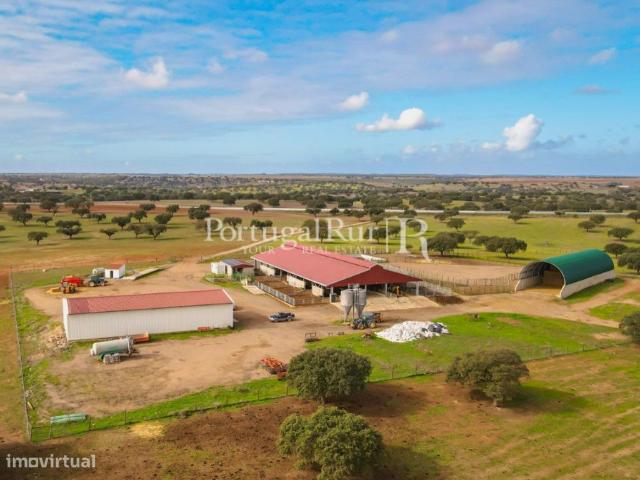 Herdade com 844 hectares com vocao ganadeira na regio de Beja