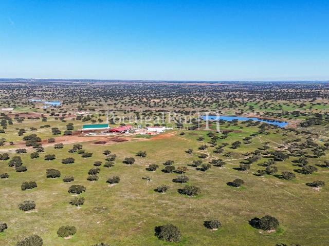 Herdade com 844 hectares Ganadeira para pastagem e Engorda. 1593m² Beja santiago maior e são joão baptista