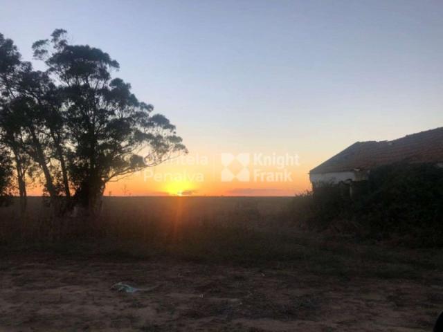 Herdade com 92 hectares, na Zambujeira do Mar