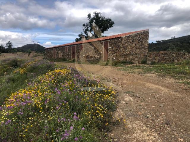 Herdade com 13 hectares e 2 moradias térreas, na zona de Querença Loulé