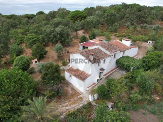 Herdade com 10Ha 100.000m2 na freguesia da Sé, Portalegre