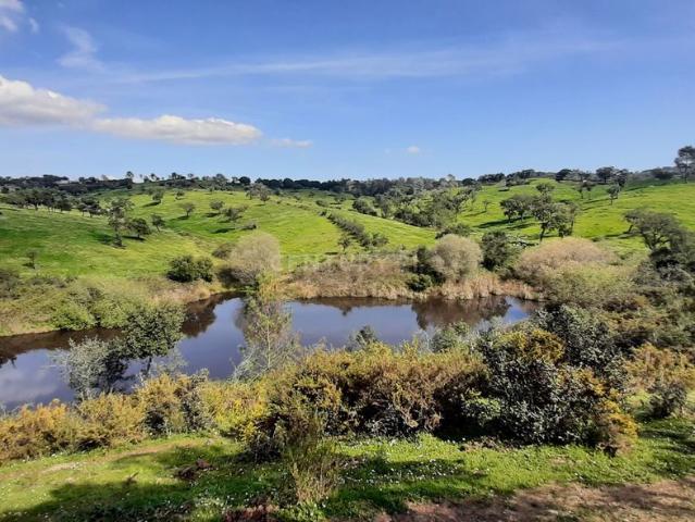 Alccer do Sal Herdade 115ha
