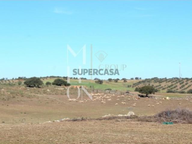 Herdade com 11,25ha situada na aldeia ribeirinha da Granja, concelho de Mourão e Distrito de Évora