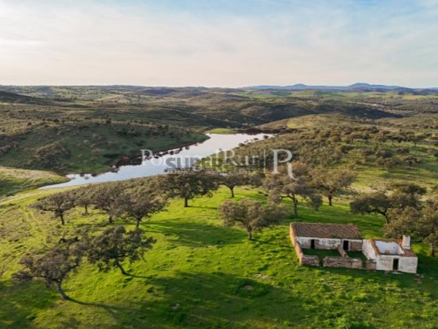 Herdade com 147 hectares no Alandroal, Évora