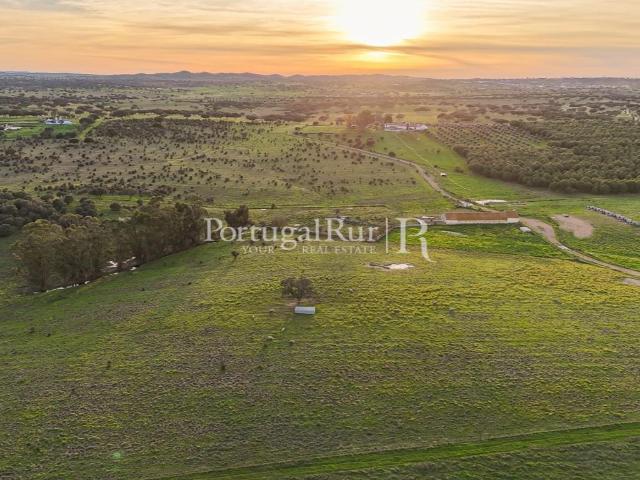 Herdade com 149 hectares ideal para agropecuária 350m² Santiago Maior