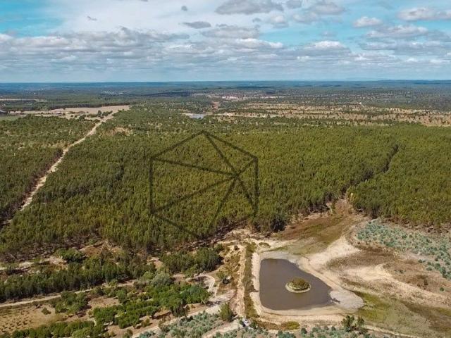 Herdade com 168 hectares em Ponte de Sr para venda