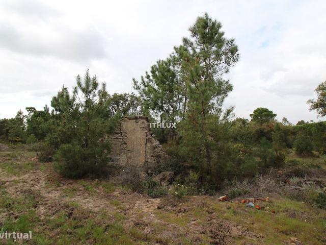 Herdade com 16,1500 ha, na zona da Lagoa de Melides, com viabilidade p