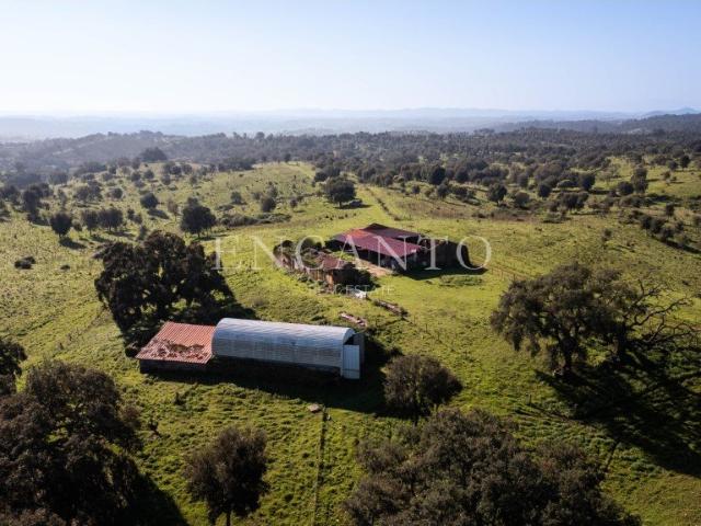 Herdade com 178 ha Projeto Turístico Aprovado na Costa Ale. 1000m² São Luís
