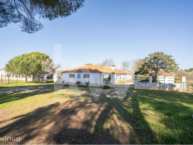 HERDADE COM 190 HA EM BENAVENTE, DISTRITO DE SANTARM
