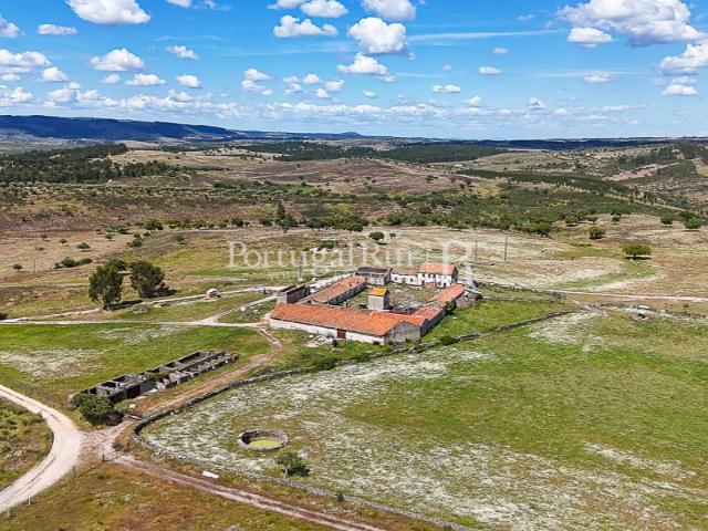 Herdade com 195 ha e 1.900 m2 de área urbana à beira do Tejo Beira Interior