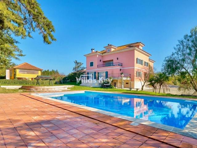Herdade com 200.000 m² com 2 moradias e muitas árvores. 0m² Vila Franca De Xira