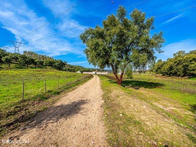 Herdade com 20 ha para venda em Abrantes