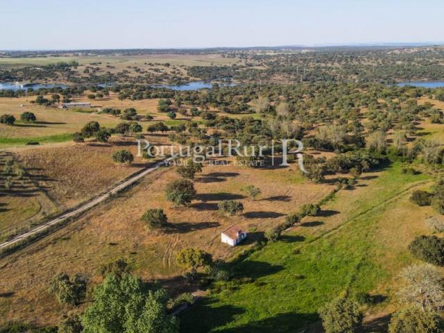Herdade com 22,62 ha confinante com barragem 43m² Ervedal e vila franca da beira