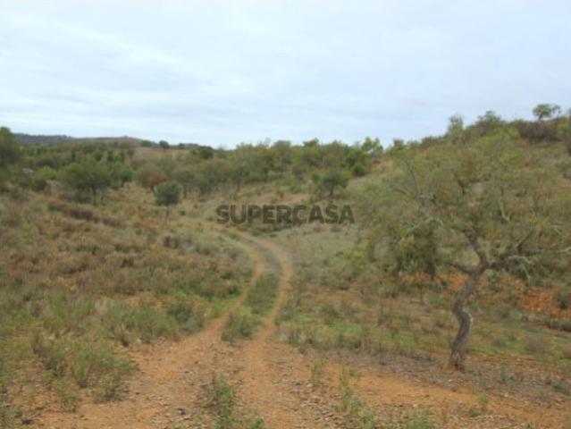 Herdade com 266.000 mts perto de Alte!