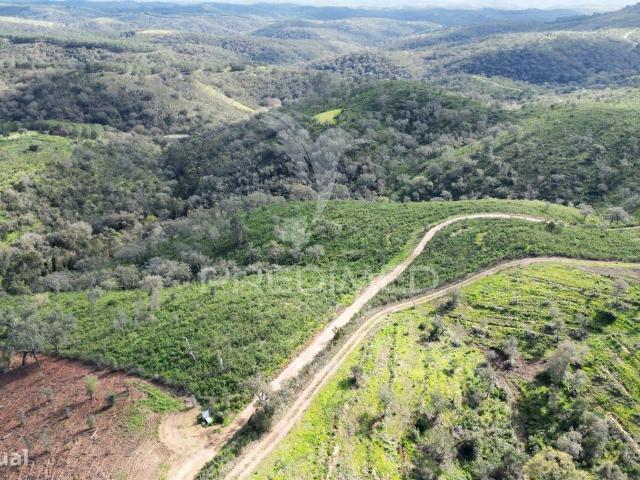 Herdade com 26 ha em Taliscas Odemira