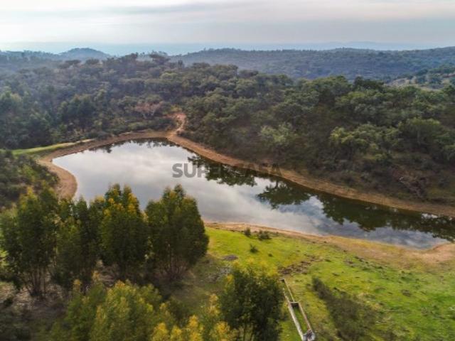 Herdade com 278 hectares em Portel, Evora