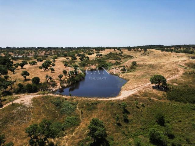 Herdade com 32 hectares na região de Santiago do Cacém Ale. 62m² São Domingos e Vale de Água