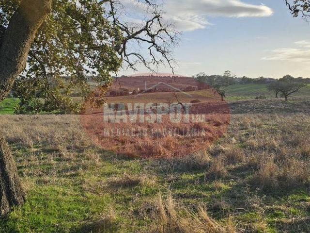 Herdade com 36 ha em Santo António do Baldio | 26084060241