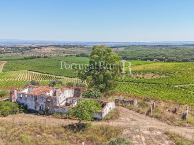 Herdade com Vinha com Vocação Turística