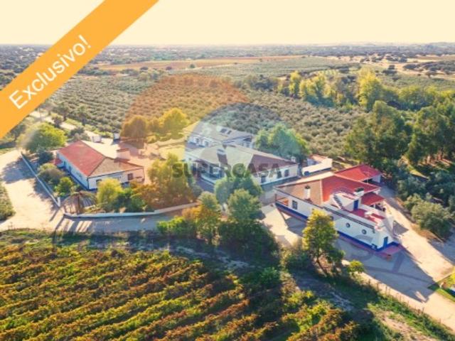 Herdade com Vinha e Olival no Baixo Alentejo