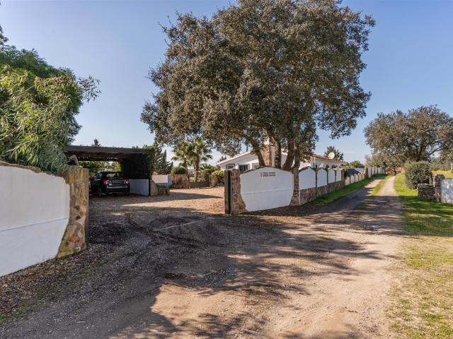 Herdade com albufeira em Ourique 281m² Ourique