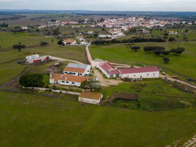 Herdade com Capacidade Fotovoltaica 276m² Aguiar da Beira e Coruche