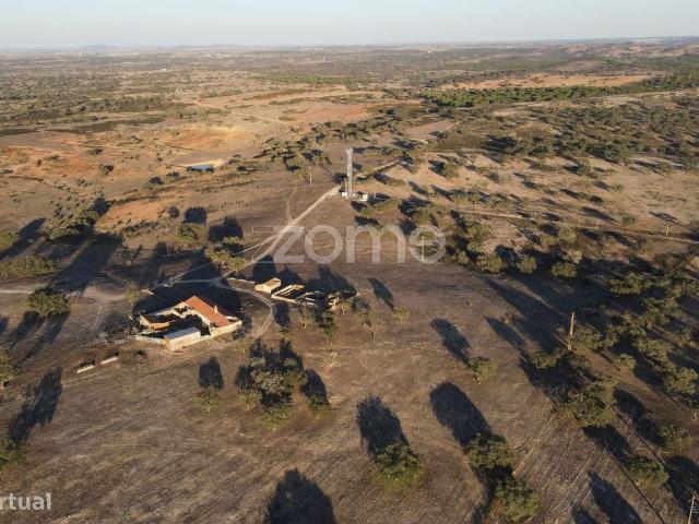 Herdade com mais de 120 hectares em Castro Verde com Runas e Barra.