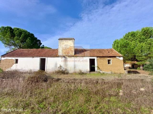 Herdade com montado de sobro de excelncia em Grndola!