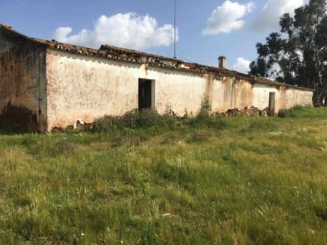 Herdade com moradia para recuperar [ barragem e ribeiro ]
