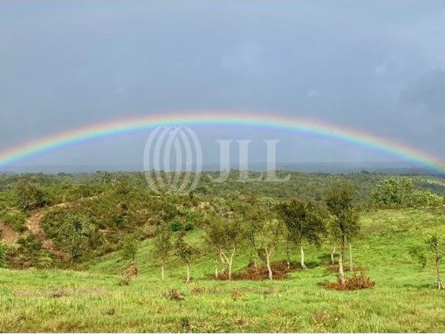 Herdade com moradia T2 em Santiago do Cacm