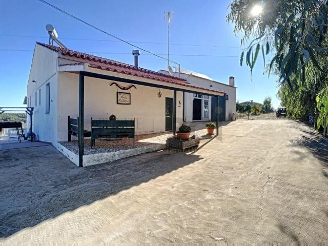 Herdade com Olival Intensivo e habitação, cozinha rústica al. 120m² Safara e Sabto Aleixo da Restauração