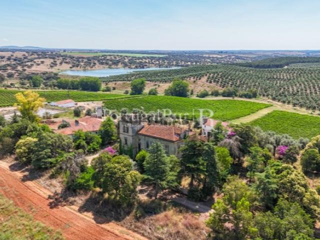 Herdade com Solar, Vinha e Anexos