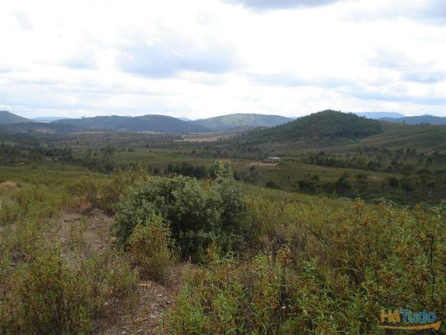 Herdade Construção Rural 84m2 Florestal 93ha Ninho do Açor | 26063916806