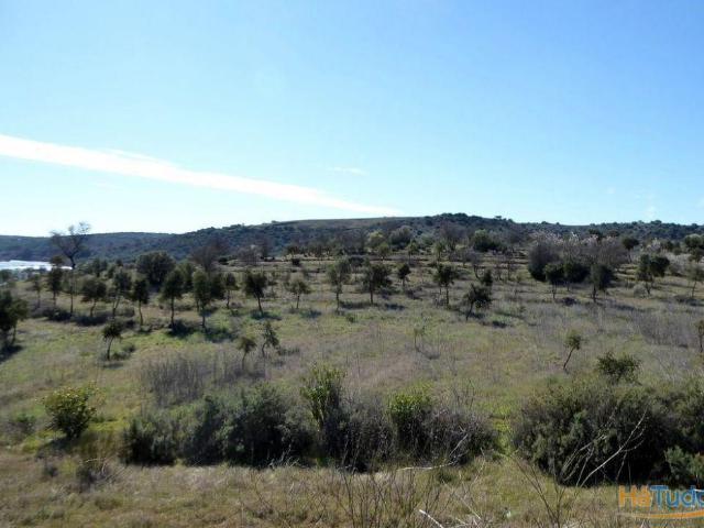 Herdade contígua ao rio Guadiana, Portugal, Alentejo, Baleizão | 26061225931