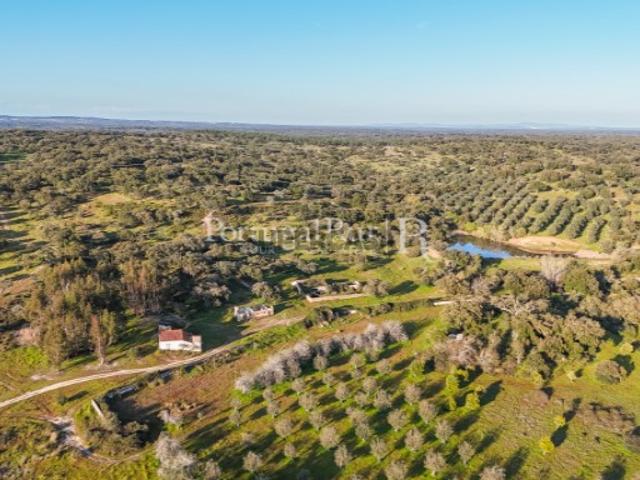Herdade Corticeira com 375 hectares