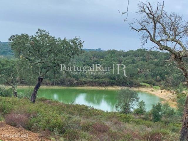 Herdade corticeira com 375 hectares