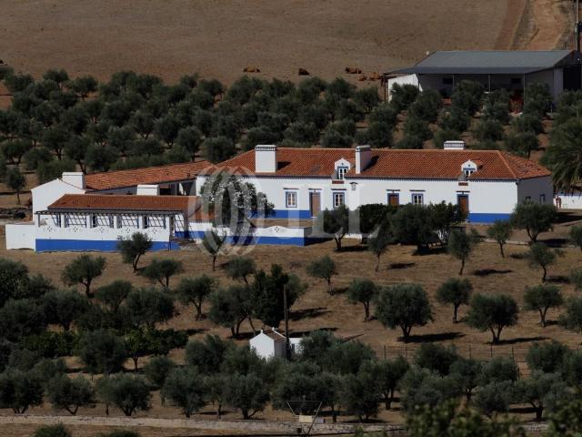 Herdade da Madeira Velha, Évora 0m² Redondo