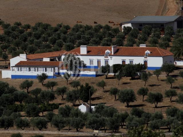 Herdade da Madeira Velha, Évora