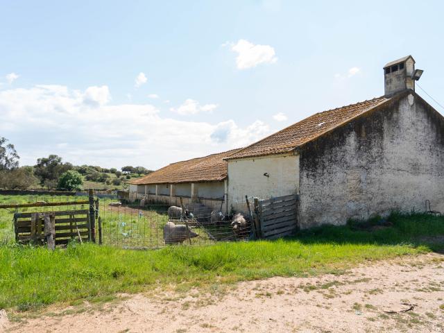 Herdade da Mancha – Ativo Rural de Grande Escala com 149 Hectares no Alentejo