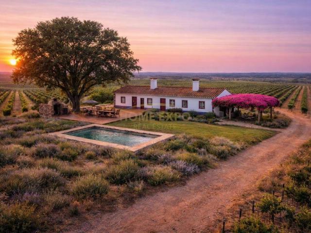 Herdade da Casa Branca | 91,8 ha com água permanente | Zambujeira do Mar