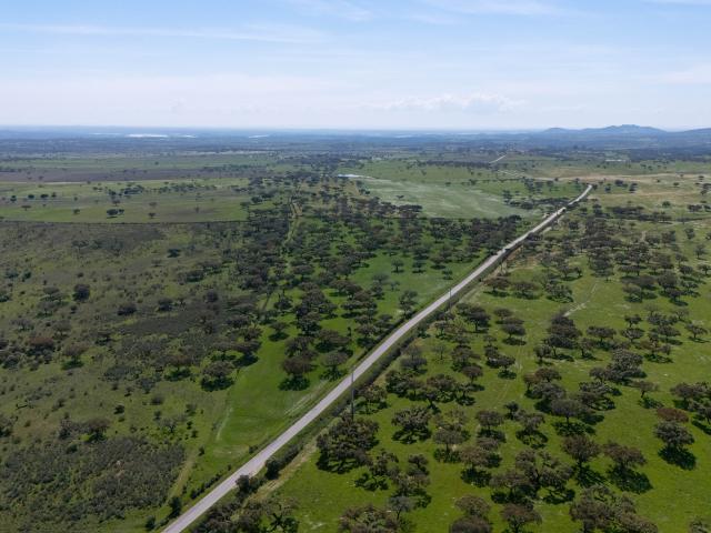 Herdade da Chamurreira de Baixo – Ativo Rural Estratégico com 63 Hectares no Alentejo