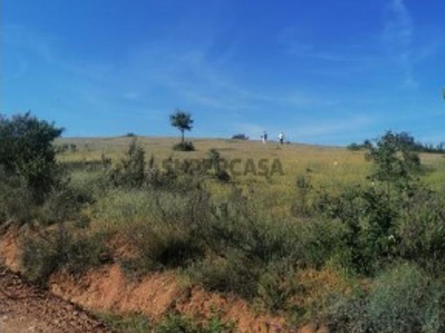 Herdade da Torrinha 263 hectares em Rasmalho,Portimão