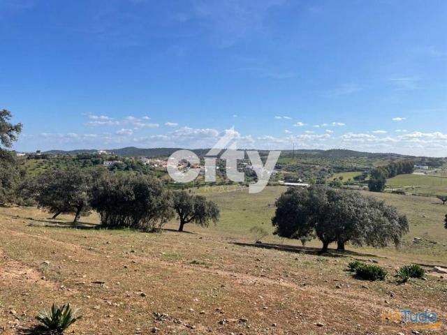 Herdade de Monte Branco, Figueira e Malhada Velha | 26063468939
