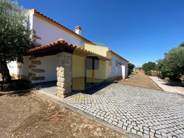 HERDADE DE EXCELÊNCIA | 36 HECTARES DE PRODUÇÃO, ÁGUA E QUALIDADE DE VIDA NO ALENTEJO