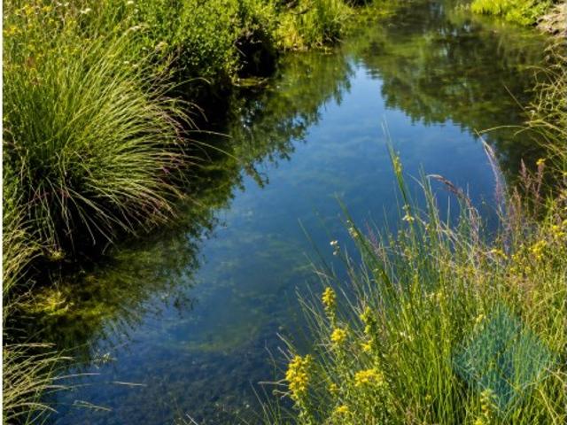 HERDADE DE 154 HECTARES COM MONTADO DE SOBRO E EXPLORAÇÃO BIOLÓGICA ALENTEJO