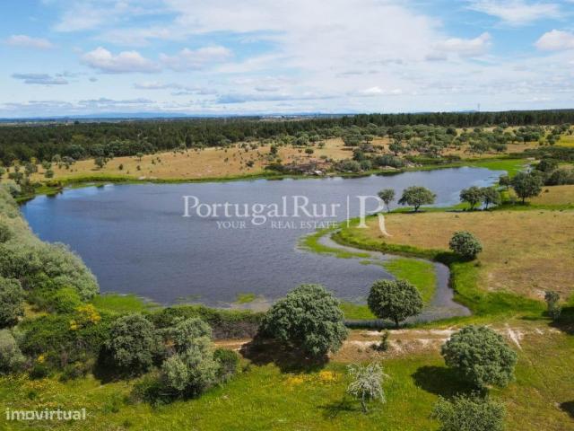 Herdade de 186 Hectares no Crato